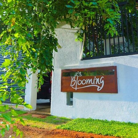 Blooming Holiday Resort Анурадхапура Экстерьер фото