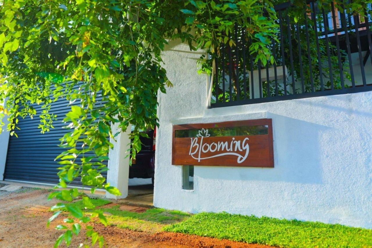Blooming Holiday Resort Анурадхапура Экстерьер фото